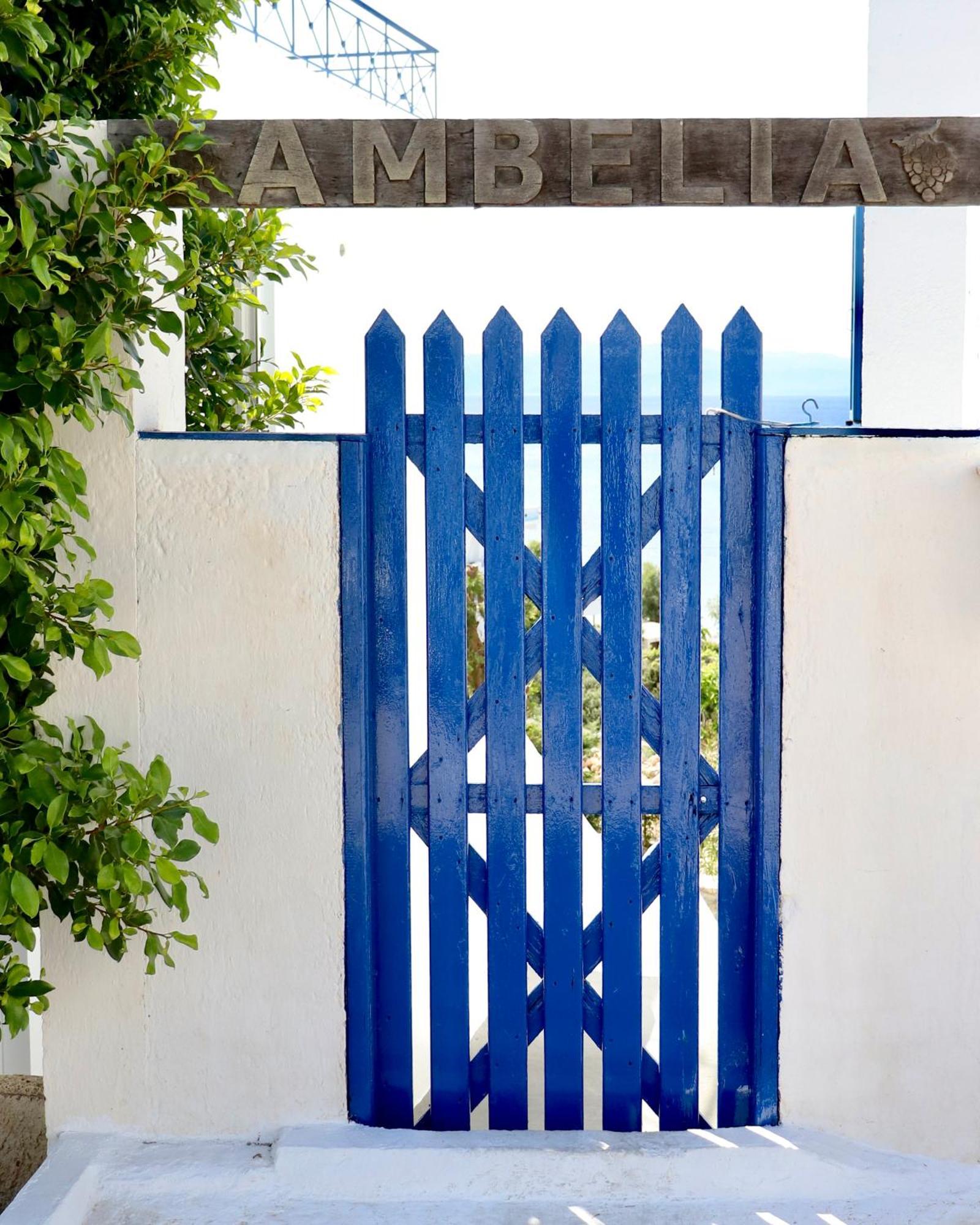 2 Ambelia Paradise Megalochori (Agistri) Exterior foto
